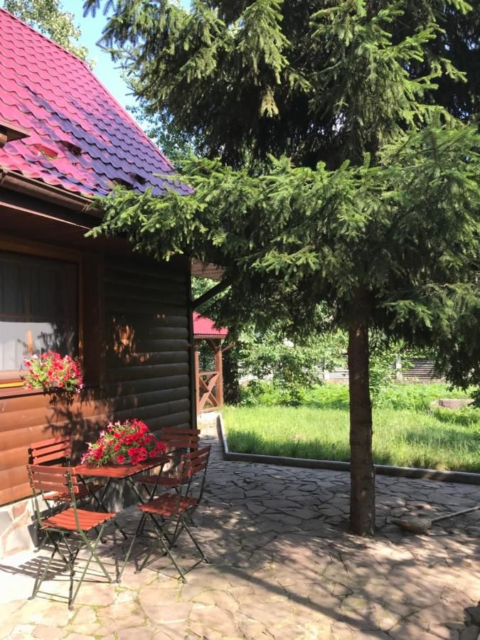 Отель Troyanda Karpat Карпаты